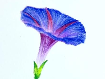 拿起画笔,一起画一朵美丽的喇叭花#画画 #彩铅 #一起学画画 #零基础教学