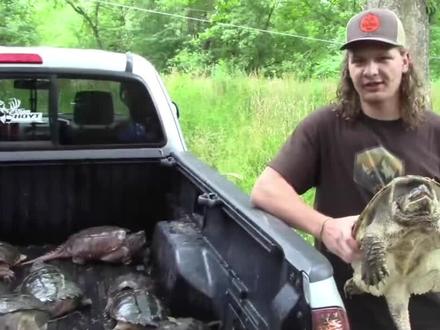 你买到的是纯佛吗?#养龟日常 #佛鳄龟 #龟龟🐢