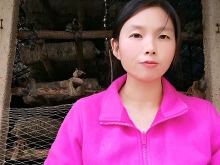 花一分让你了解下香菇不出菇或出菇少的9个原因。希望你一个也没有!#香菇种植#农业种植。#新农村计划2022#我的乡村生活