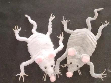 粉丝要的老鼠干教程🐭喜欢的拿去,如有不适请划走🙃#扭扭棒 #老鼠干 #扭扭棒的100种玩法 #扭扭棒教程