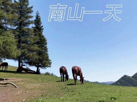 周日,在南山沙沟休闲。所见所思即所得。与你分享,感谢关注。声明:本视频为原创