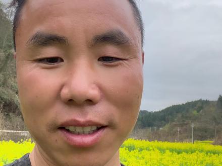 春天到了很多人就不知道找蜜窝了,看我这样照又快又高效。