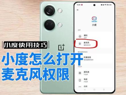 小度怎么打开麦克风权限 #小度麦克风 #麦克风权限在哪打开 #麦克风权限