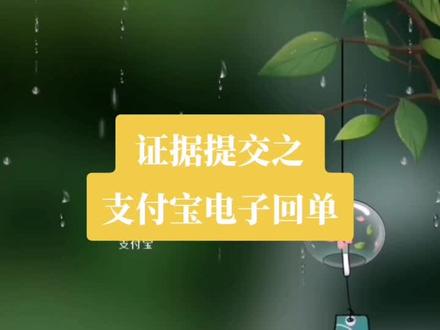 #证据 #借钱 付款之支付宝转账证据提交