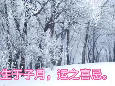 辛金生于子月,运之喜忌。
诗诀:子月喜丙丁,若然无火也平平。运行木火多通达,财杀多时喜逆行。
意思:冬金必然需丙丁火,又曰:财杀多时喜逆行,辛生子月以戊丙为调候,辛日子月,四柱透出土火,大运要入日主根旺之运。
(总结:先决条件,四柱一定要有丙丁火。无火则任何大运皆为平常。喜:寅卯巳午运;忌:亥申酉运。)