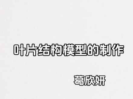 绿色工厂:叶片结构模型制作