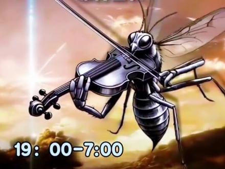 封了几个月的双子星重新回归#夏日安眠曲#双子星#助眠