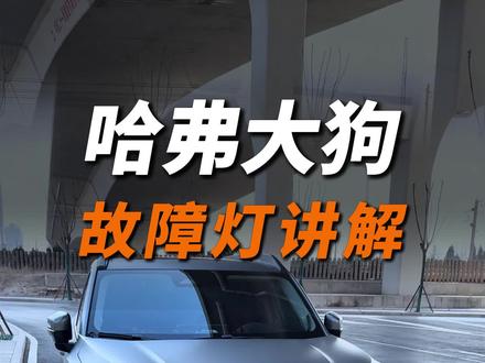 哈弗大狗的重点故障灯解析来了,有的故障灯可以立即解决,有的需要去检修或者更换,每个都很重要,建议认真观看视频!#哈弗大狗#用车知识#长城汽车#26款哈弗大狗#用车技巧