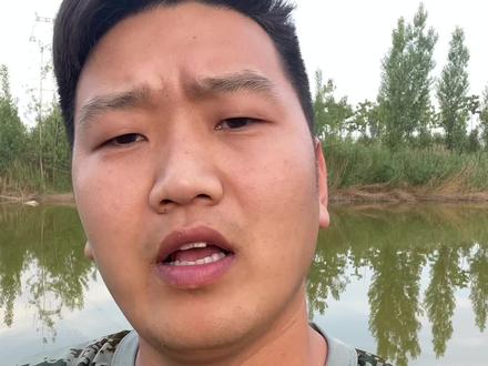 茶籽饼除杂鱼,怎么用你用对了吗?#水产人 #三农 #水产养殖 #鱼虾蟹水产养殖 #小龙虾养殖 #水产养殖老孔 #水产养殖技术 #水产技术