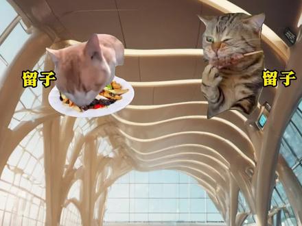 你们出国留学随身带满汉全席???#国际快递 #猫meme