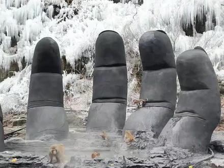 2月4日信息差 #社会百态 #热点新闻事件 #信息差