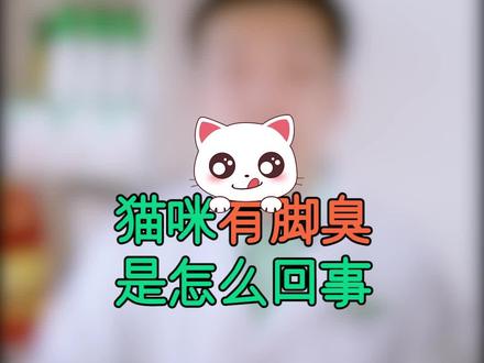 猫咪有脚臭原因居然有那么多,铲屎官都了解吗? #科学养宠攻略 @抖音小助手 @DOU+小助手