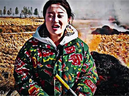 禁止焚烧秸秆竟是超级细菌的克星#秸秆#专家#克星