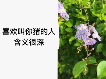 原来你叫我小懒猪是这个意思啊@抖音小助手