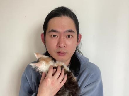 带杯状疱疹的猫能不能养。#科学养宠 #养猫 #宠物科普 #宠物知识