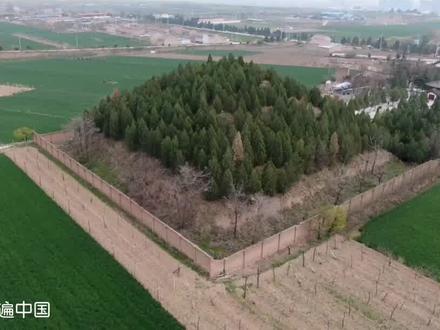 6层楼深的武则天孙子墓地宫,盗洞精准到专家佩服,为何40吨重黑色棺椁葬两个人