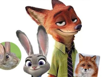 疯狂动物城里的动物,你想养吗? #疯狂动物城 #疯狂动物城2 #冷门宠物 #小宠 #动物科普