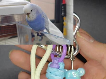 女明星的配色你们喜欢吗?#挂件 #手工编织