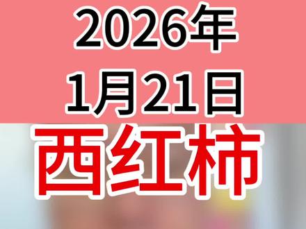 西红柿行情价格 #西红柿种植 #番茄种植 #西红柿价格 #番茄价格 #每日分享