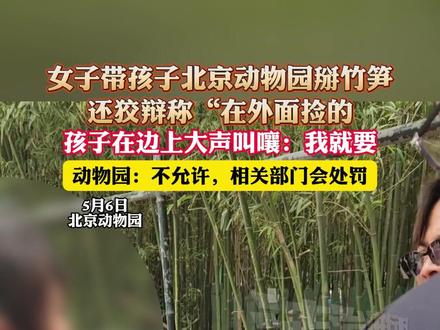 女子带孩子在北京动物园掰竹笋还狡辩称“在外面捡的”,孩子在边上大声叫嚷:我就要,动物园:不允许,相关部门会处罚(杉)#北京动物园 #熊猫 #竹笋 #熊孩子