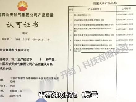 中石油QHSE体系审核