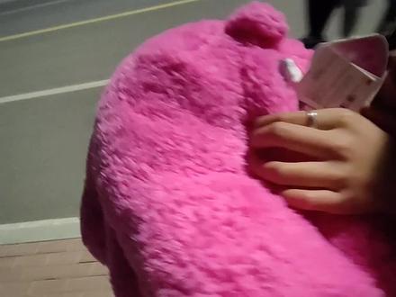 哈哈哈哈哈,草莓熊的屁股里真的有屎嘛