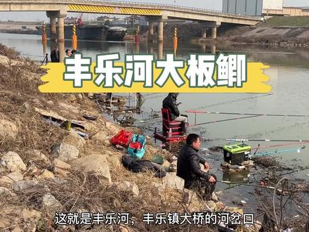 丰乐河我会回来的😆#钓鱼技巧 #野生大板鲫 #2023dou来钓鱼 #钓鱼