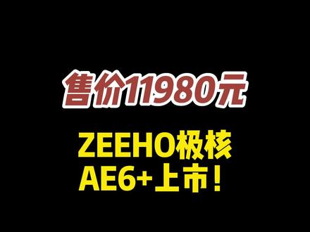 #春风 旗下电动车品牌#极核 新车#AE6 上市!#电动车