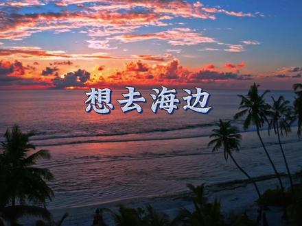 夏日入侵企画《想去海边》#夏天BGM #清凉一夏