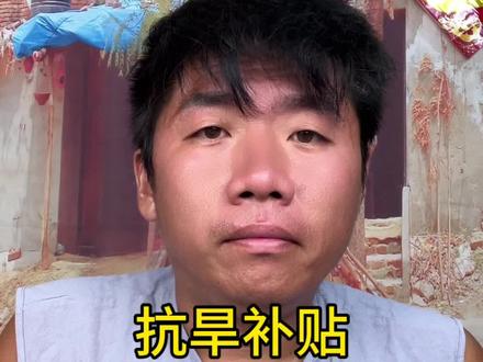 抗旱补贴你知道怎么领吗#抗旱补贴