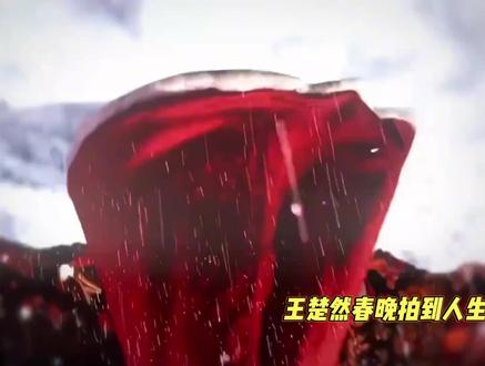王楚然春晚20秒镜头一眼千年啊!涨粉近90万,太美了#王楚然春晚造型一眼千年 #王楚然 #演员 #明星 #娱乐