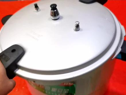 养狗人的乐趣。超大型巨人高压锅#抖音美食推荐官 #创作者扶持计划 #妈呀太香了 #原创作品 #真材实料才能做出好味道