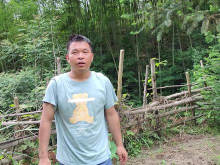 1000块钱一斤的七叶一枝花,根部居然长这样,你的家乡也有吗 #新农人计划2022 #我的乡村生活