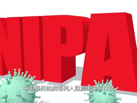 尼帕病毒有多可怕?致死率40%的"僵尸病毒"来了 中国已将尼帕病毒列入监测 #尼帕病毒 #尼帕病毒是什么 #尼帕病毒致死率 #尼帕病毒概念 #尼帕病毒科普