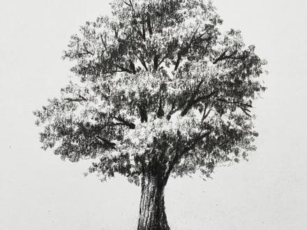 零基础也能画好的小树!帮你提升10倍的画画技巧!! #画画 #跟着抖音学画画 #绘画教程 #原创