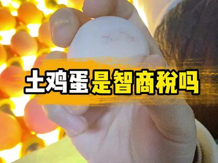 土鸡蛋是智商税吗?#土鸡蛋 #鸡蛋