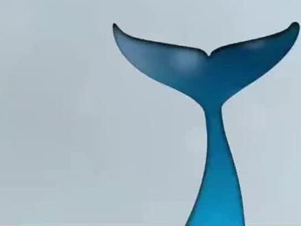 动物尾巴的作用#动物世界 #动物 #涨知识 #小学生作文