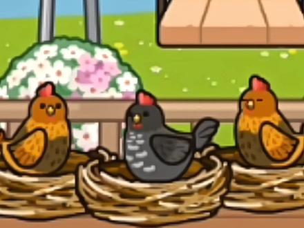 米加小镇日常vlog:下鸡蛋了