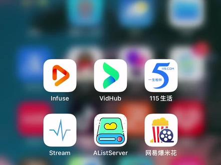 无广告 纯4k视觉盛宴#4k超清 #infuse