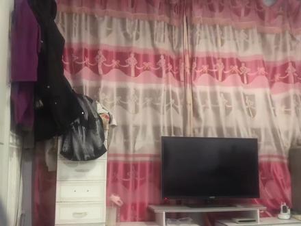 大夏境内 神明禁行#转场 #斩神