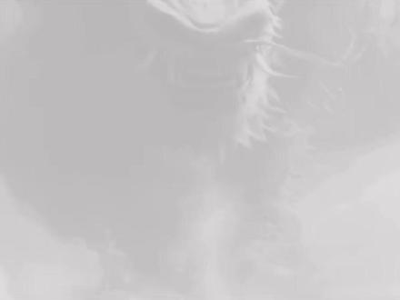 今日游资动向#股票 #股民 #热点 #干货分享 #财经