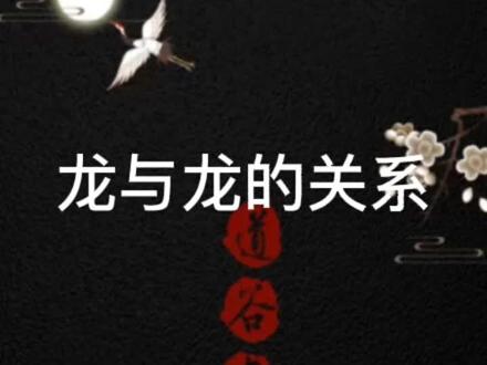 生肖龙与龙的关系