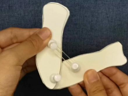 肌肉牵动骨运动模型#八上生物实验