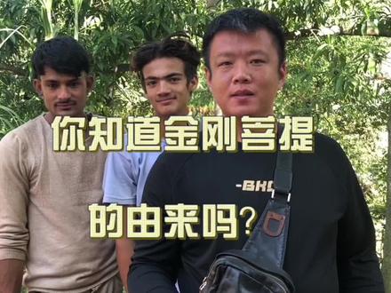 你知道金刚菩提的由来以及瓣数多少吗?#金刚菩提#金刚菩提子 #金刚菩提的由来 #金刚菩提手串