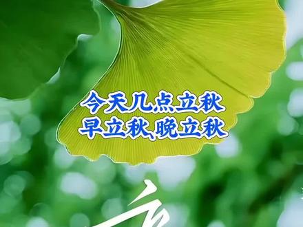 #立秋#节气 #节气@王岩的王
