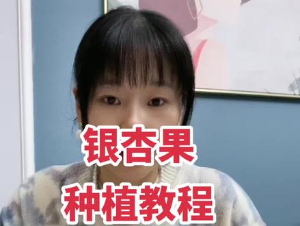 姐妹们银杏果变银杏树教程来了,快去捡、银杏果肉很臭捡的时候记得带手套
捏果肉的时候用自封袋不脏手也闻不到臭味,一起制作起来吧!真的超级简单,等到银杏叶发出来的时候成就感满满呀#园艺 #银杏 #绿植 #种植教程 #盆栽