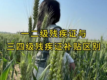 #残疾人#残疾人补贴#残疾证 一二级残疾证与三四级长期战补贴的区别