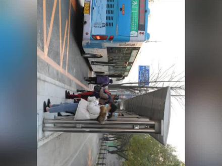 12日,#鞍山 解放东路8处港湾样式公交站台改造完成,投入使用。