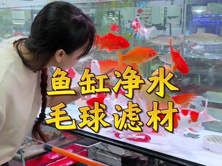 污水处理用的这个毛球,放鱼缸里面这个过滤效果竟然这么好#鱼缸过滤 #毛球滤材 #空气缸 #轻松养鱼