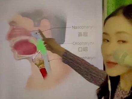 看看咽腔和甲状软骨的构造和位置,就知道为什么唱歌往前落喉不好长时间保持了!#爱音乐爱生活 @乙婷声乐老师【教唱歌】
